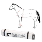 Carevallo Gewicht-Maßband mit Illustration Pferd