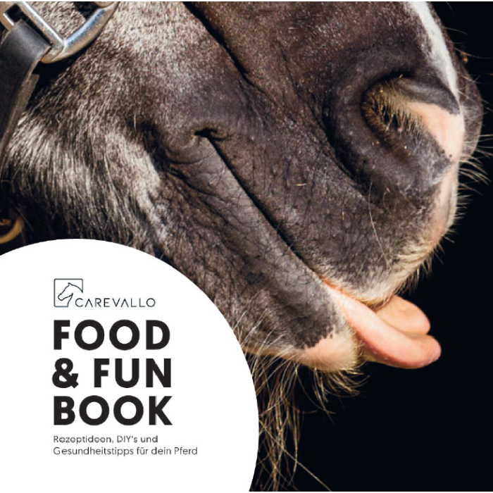 
            main 
            product 
            photo
        