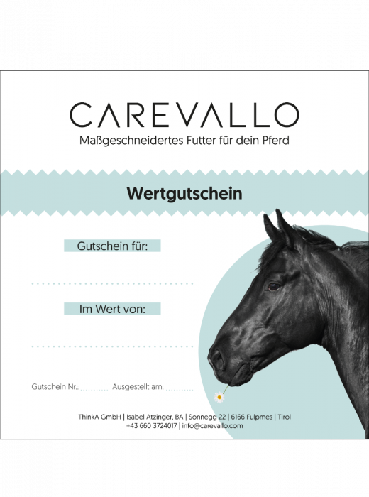 
            main 
            product 
            photo
        