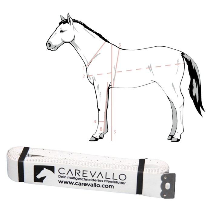 
            main 
            product 
            photo
        