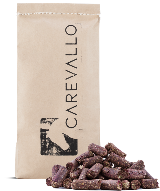 
            main 
            product 
            photo
        