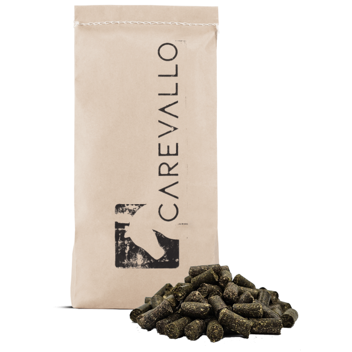 
            main 
            product 
            photo
        