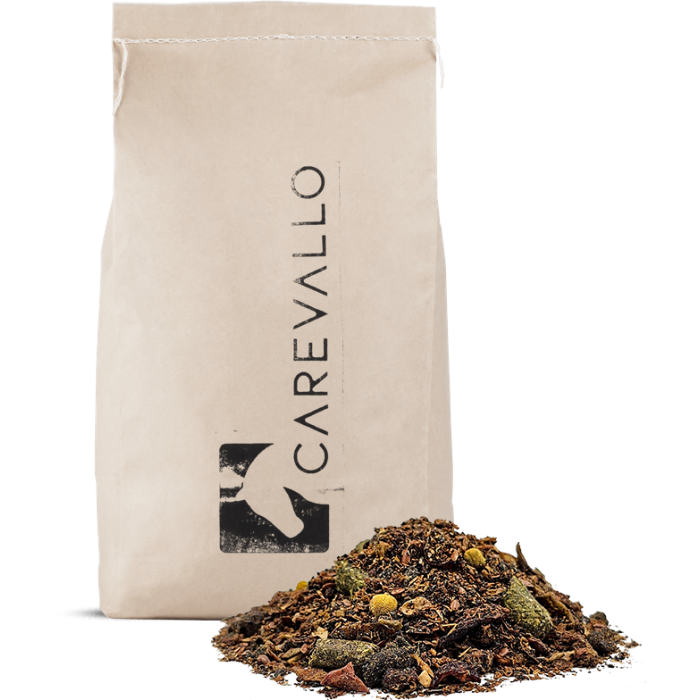 
            main 
            product 
            photo
        