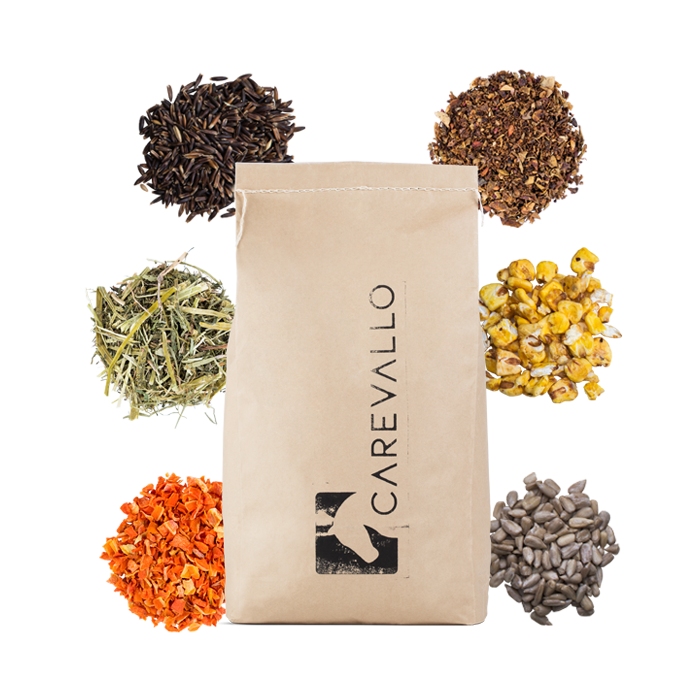 
            main 
            product 
            photo
        