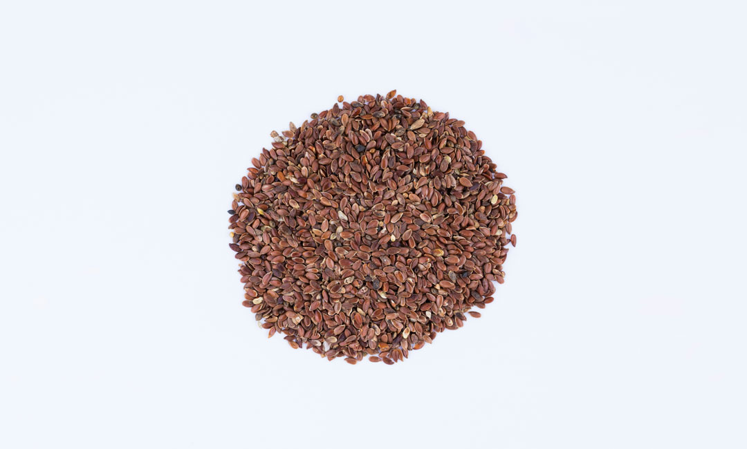 Leinsamen ein Wundermittel oder gefährlicher Futterzusatz für Pferde?