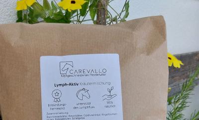 Carevallo Lymph-Aktiv Kräuter – Unterstützung für Lymphe und Stoffwechsel auf natürlichem Weg