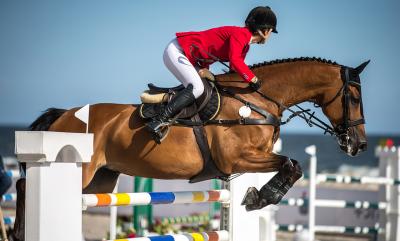 Muskelaufbau bei Freizeitpferden: Die richtige Fütterung macht den Unterschied