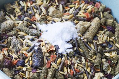 Anorganisch oder Organisch – Welche Mineralstoffe sind besser für mein Pferd? 