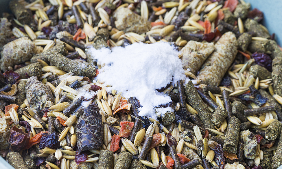 Anorganisch oder Organisch – Welche Mineralstoffe sind besser für mein Pferd? 