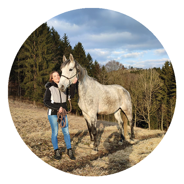 Icon mit einem Einhorn