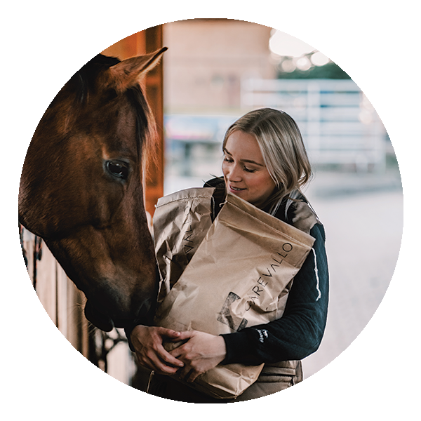 Icon mit einem Einhorn