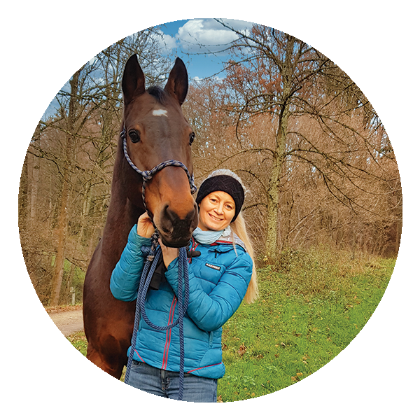 Icon mit einem Einhorn