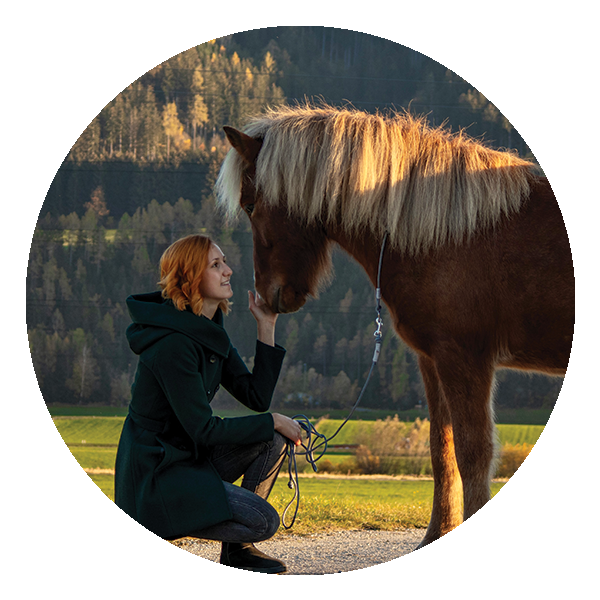 Icon mit einem Einhorn