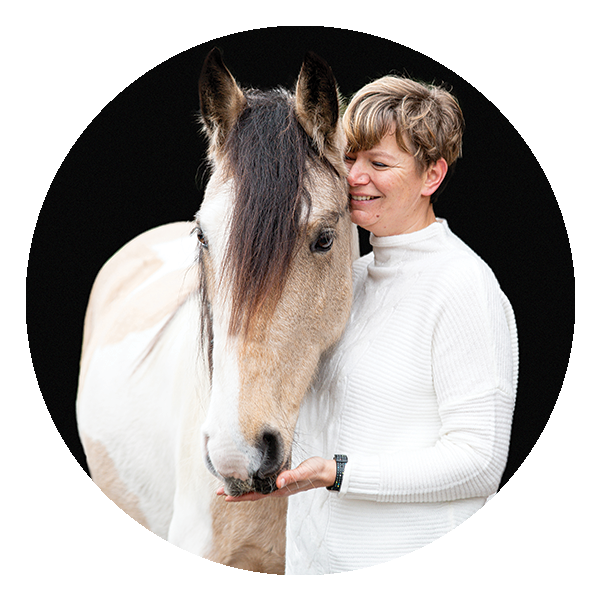 Icon mit einem Einhorn