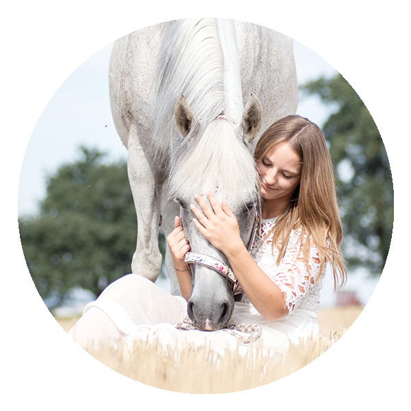 Icon mit einem Einhorn