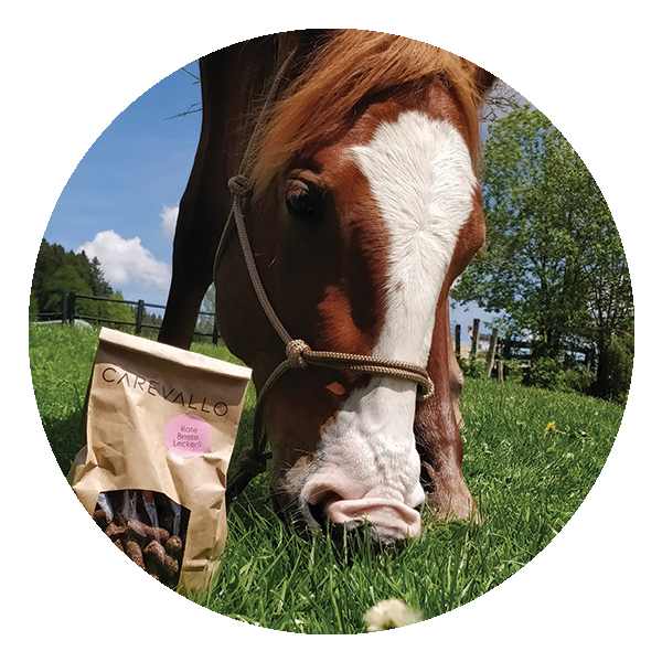 Icon mit einem Einhorn