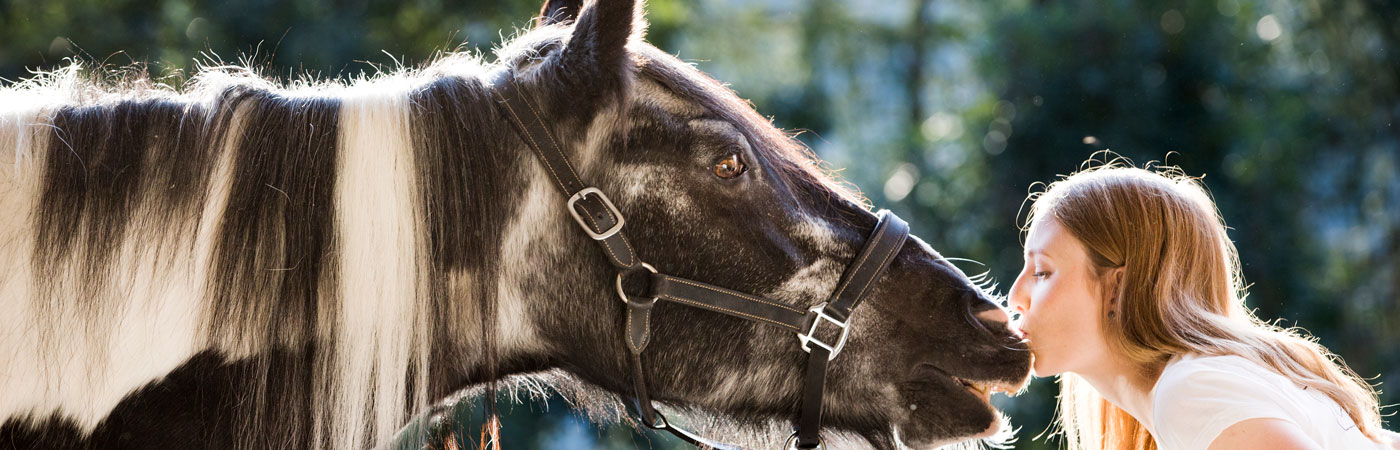 Seitliche Aufnahme von Isabel und Stute Mandy