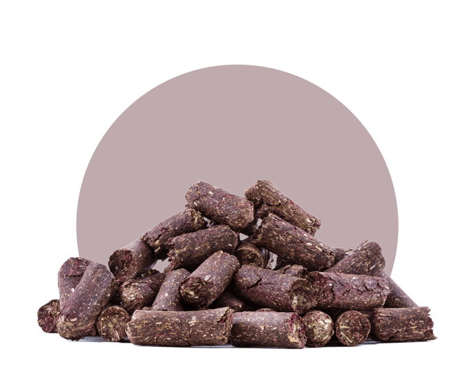 Gesunde Pferdeleckerlies frei von Getreide und Zucker