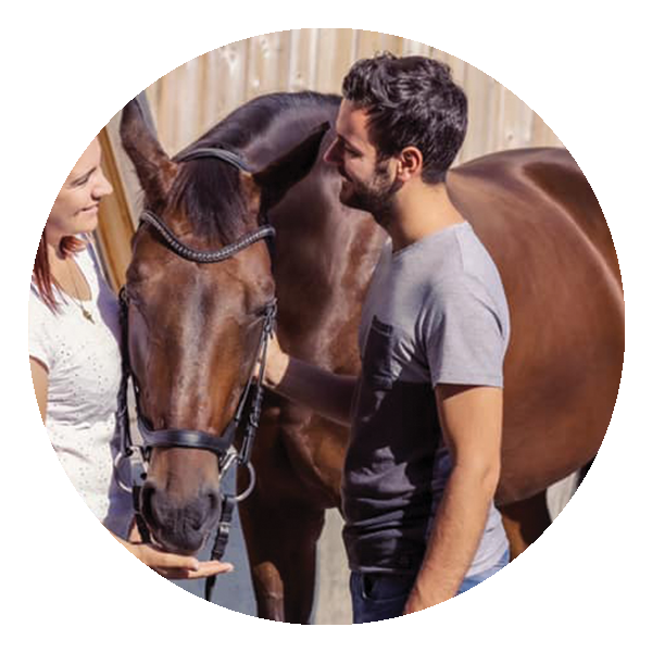 Icon mit einem Einhorn